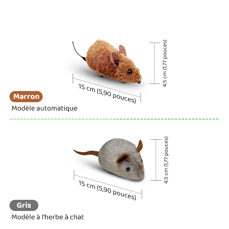 Automatische interaktive Maus – healthybuddy™