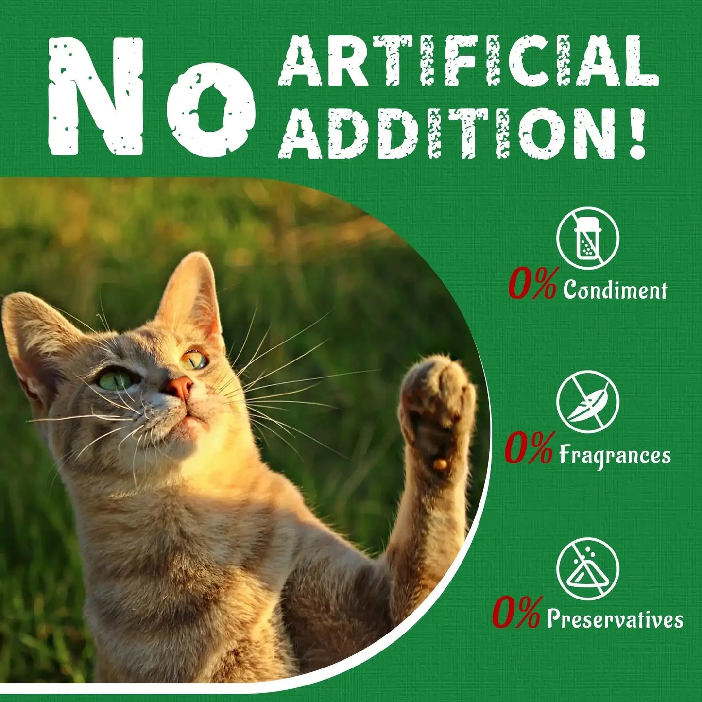 https://cdn.shopify.com/s/files/1/0788/8614/2210/files/Natural_Cat_Grass_-_Product_Details_Page.webp?v=1770187846