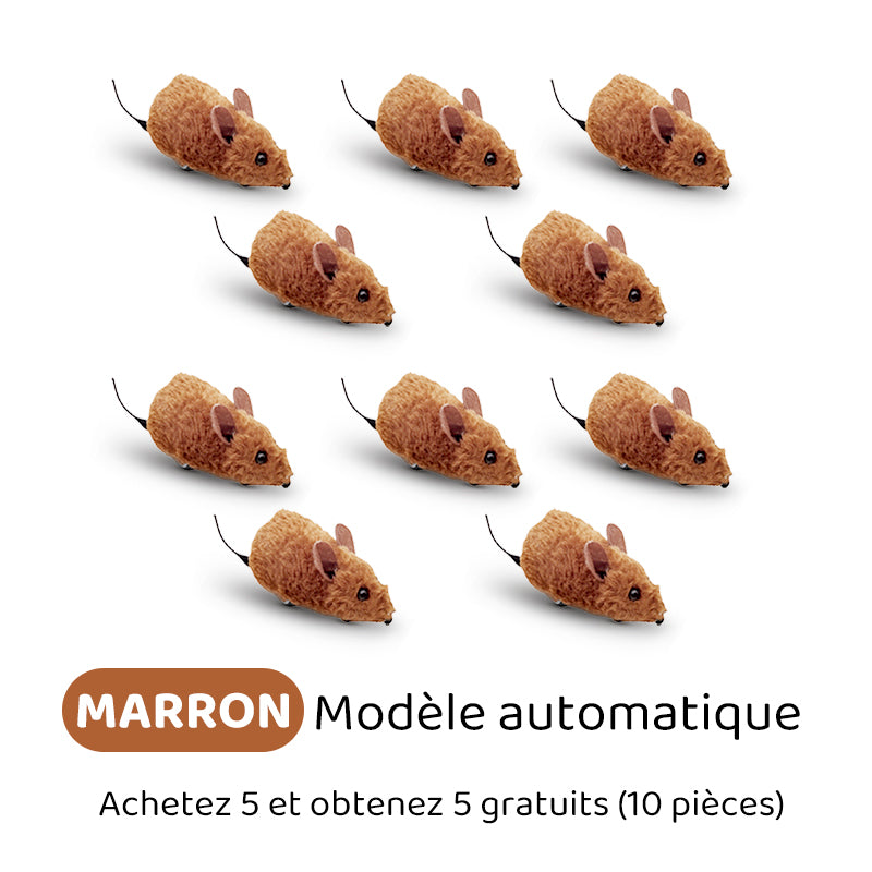 Automatische interaktive Maus – healthybuddy™
