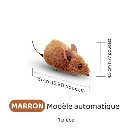 Automatische interaktive Maus – healthybuddy™