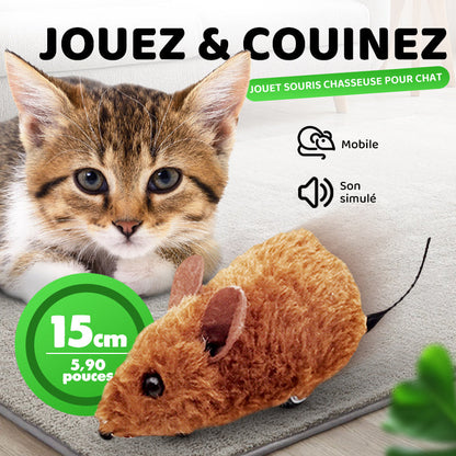 Automatische interaktive Maus – healthybuddy™