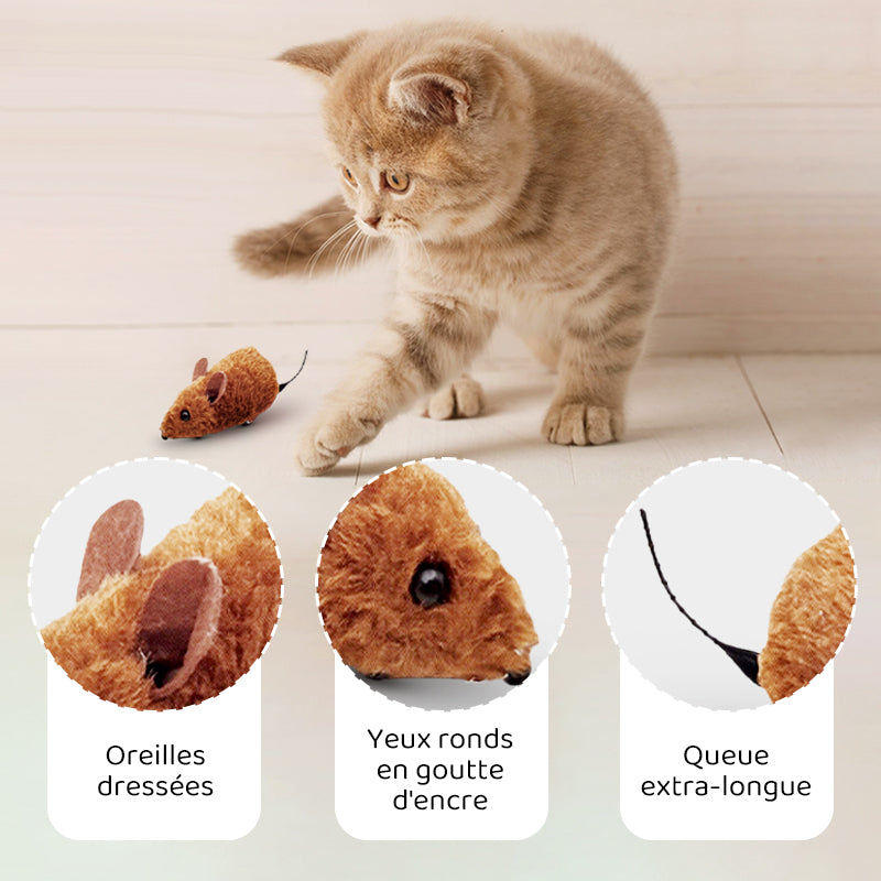 Automatische interaktive Maus – healthybuddy™