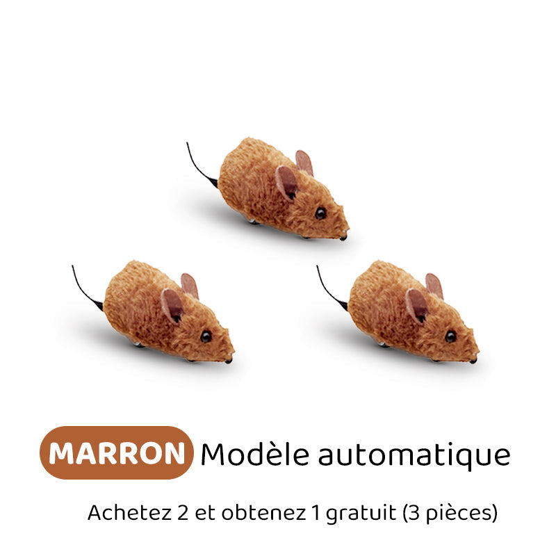 Automatische interaktive Maus – healthybuddy™