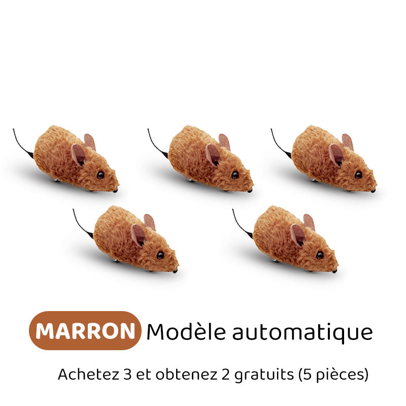 Automatische interaktive Maus – healthybuddy™
