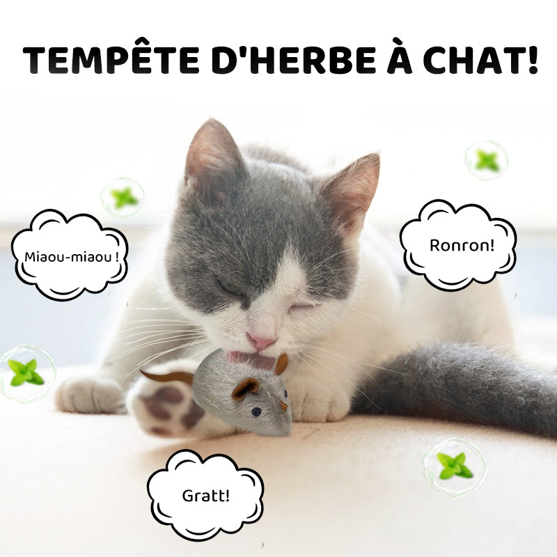 Automatische interaktive Maus – healthybuddy™