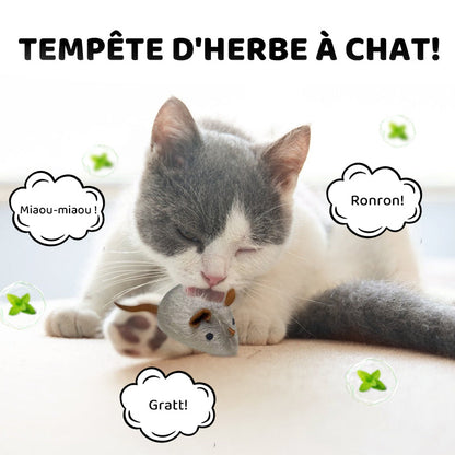 Automatische interaktive Maus – healthybuddy™