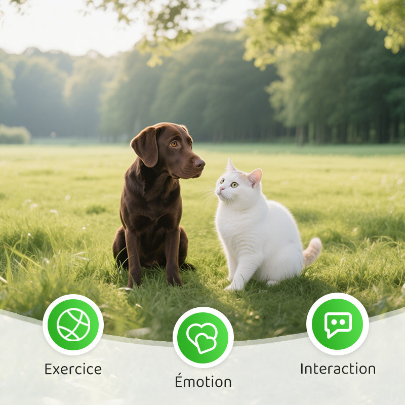 Automatische interaktive Maus – healthybuddy™