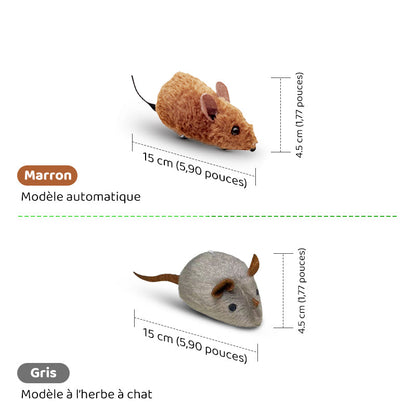 Automatische interaktive Maus – healthybuddy™