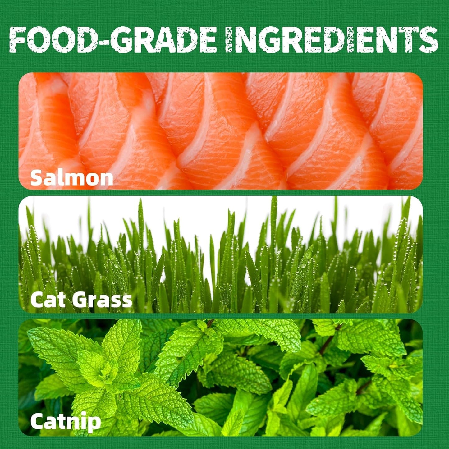 https://cdn.shopify.com/s/files/1/0788/8614/2210/files/Catnip_biscuits.jpg?v=1770187846