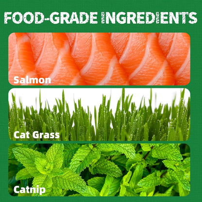 https://cdn.shopify.com/s/files/1/0788/8614/2210/files/Catnip_biscuits.jpg?v=1770187846