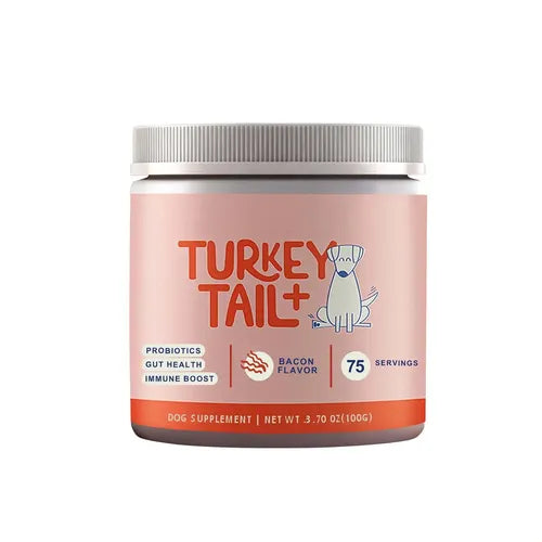 Turkey Tail Mushroom Supplement for Dogs - healthybuddy™