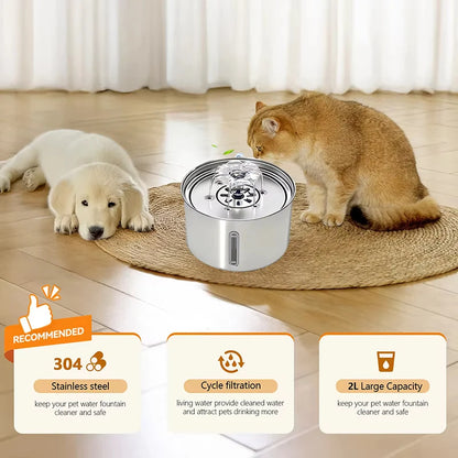 Fontaine à eau en acier pour animaux de compagnie - healthybuddy™