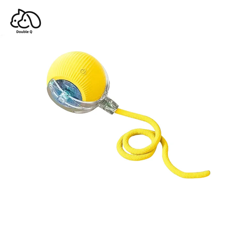 Smart Pet Toy 360° - healthybuddy™