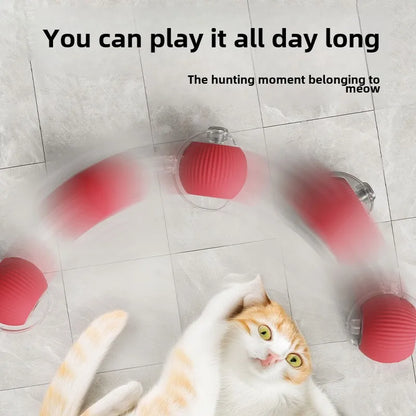 Smart Pet Toy 360° - healthybuddy™