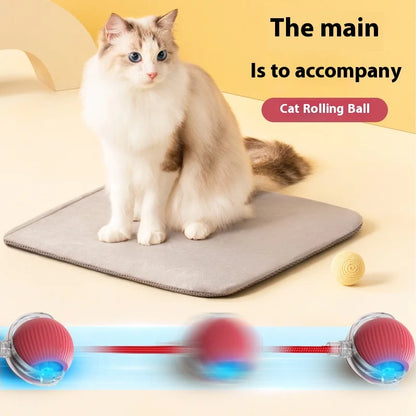 Smart Pet Toy 360° - healthybuddy™