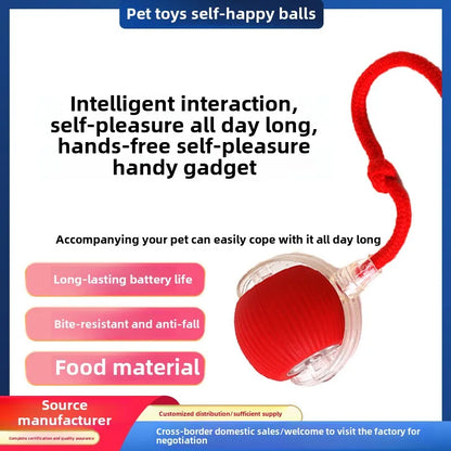 Smart Pet Toy 360° - healthybuddy™