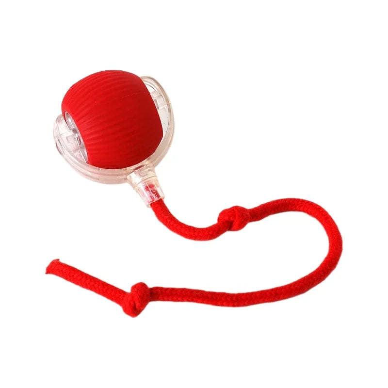 Smart Pet Toy 360° - healthybuddy™