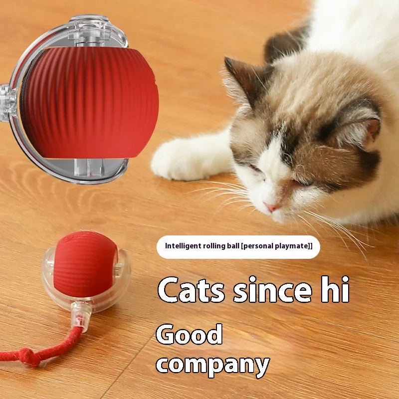 Smart Pet Toy 360° - healthybuddy™