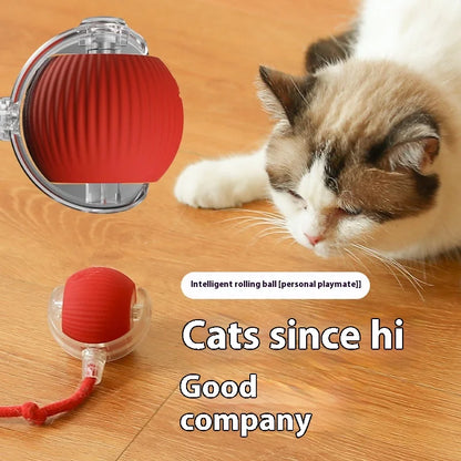Smart Pet Toy 360° - healthybuddy™