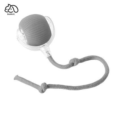 Smart Pet Toy 360° - healthybuddy™