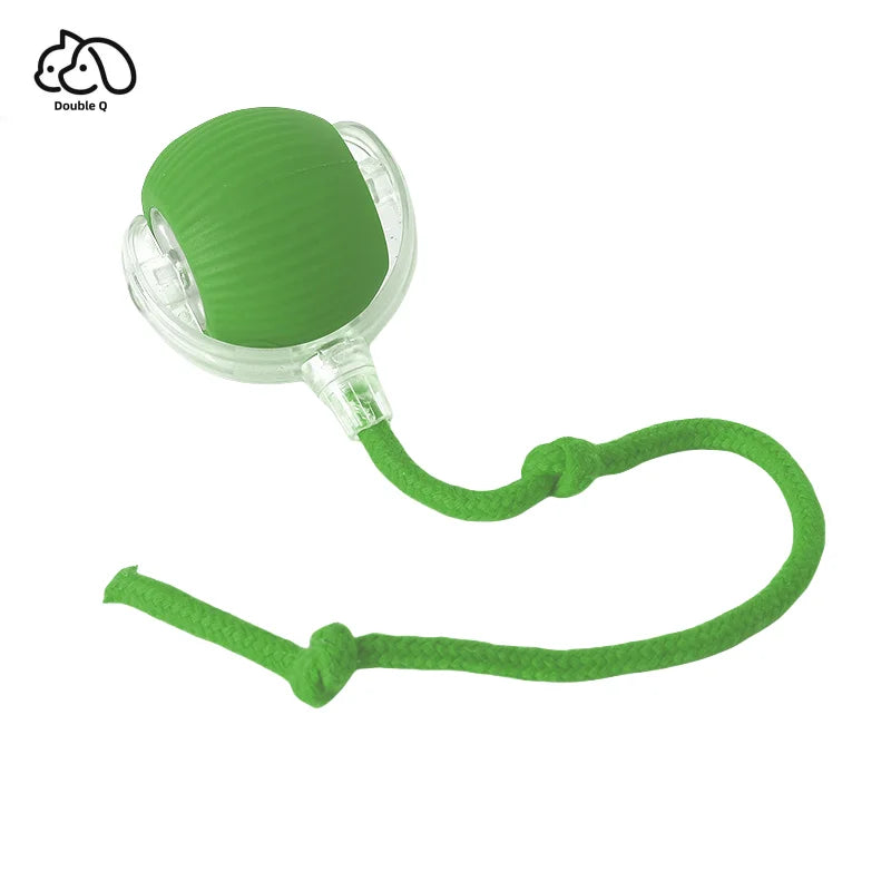 Smart Pet Toy 360° - healthybuddy™
