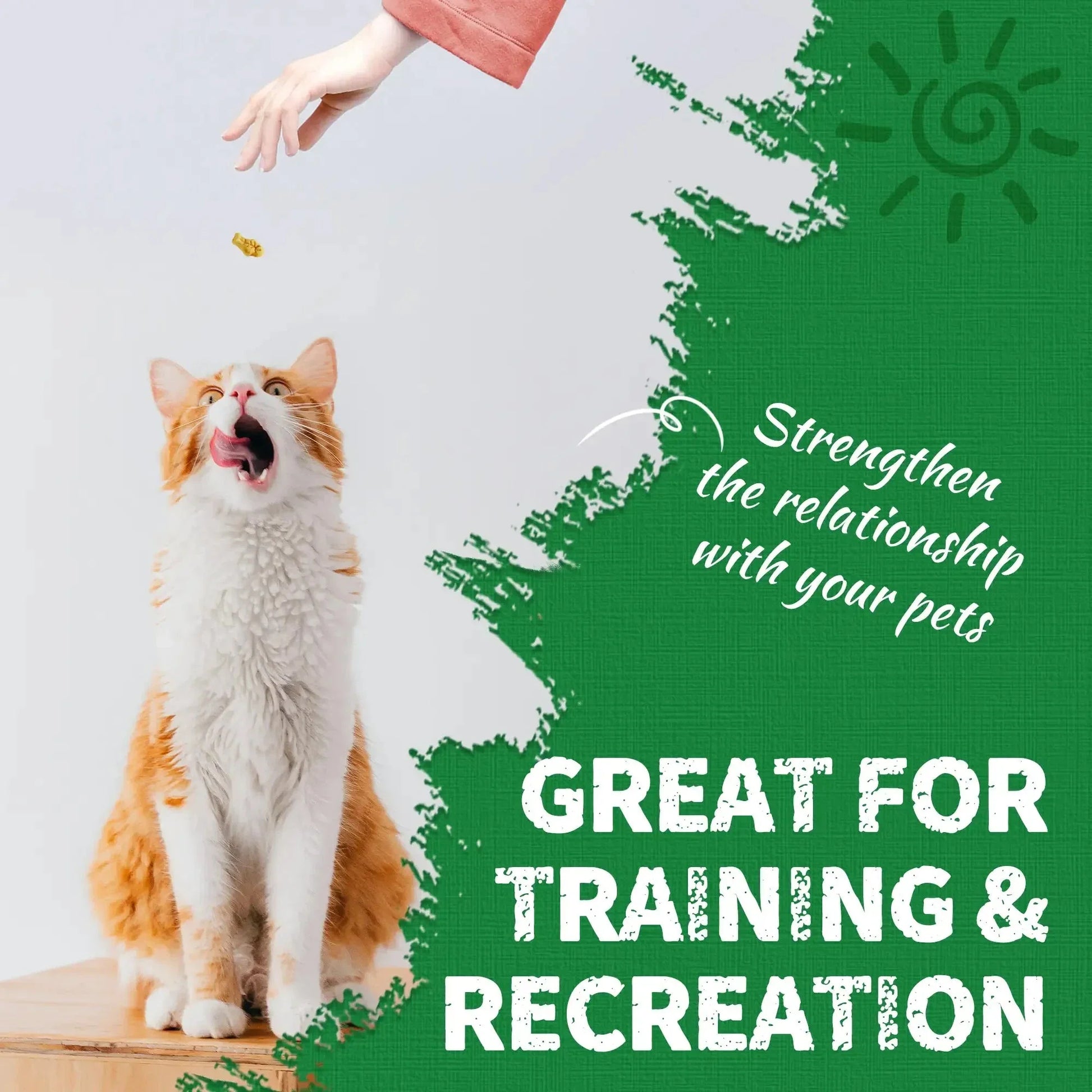 https://cdn.shopify.com/s/files/1/0788/8614/2210/files/Natural_Cat_Grass_-_Product_Details_Page_2.webp?v=1770187846