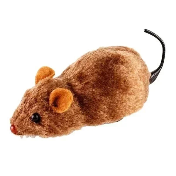 Automatische interaktive Maus – healthybuddy™